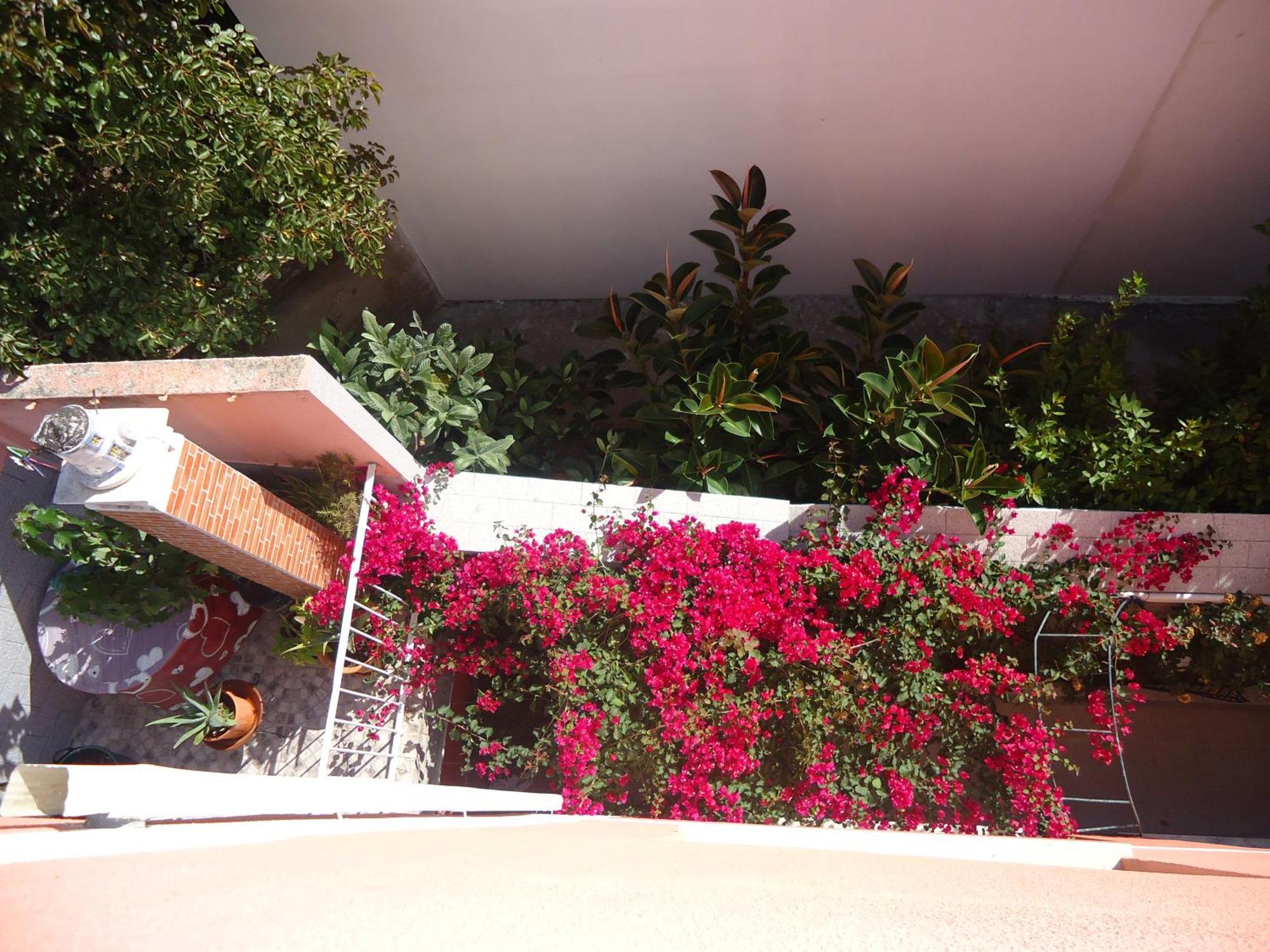 Hotel Aviz Figueira da Foz Dış mekan fotoğraf