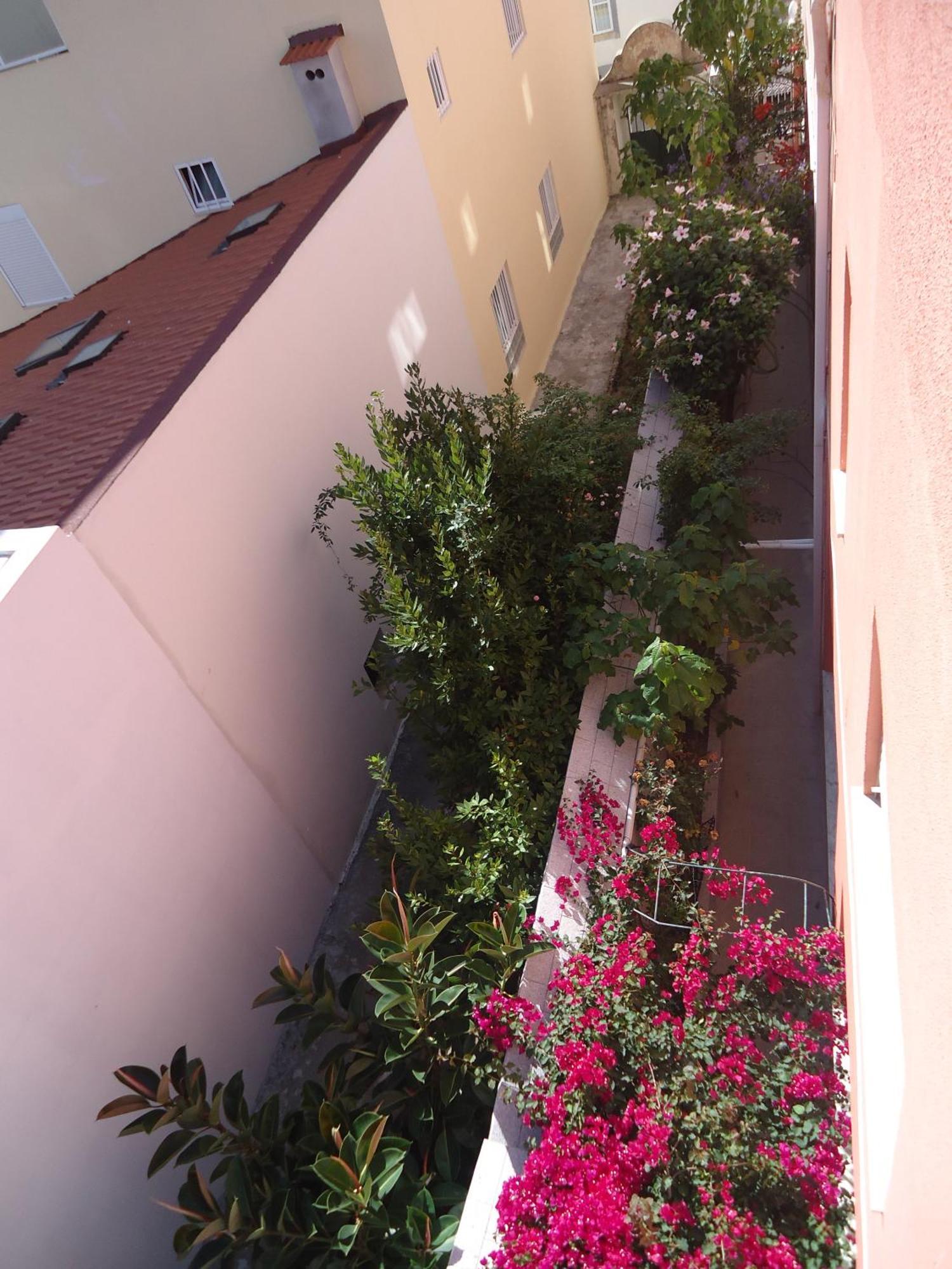 Hotel Aviz Figueira da Foz Dış mekan fotoğraf
